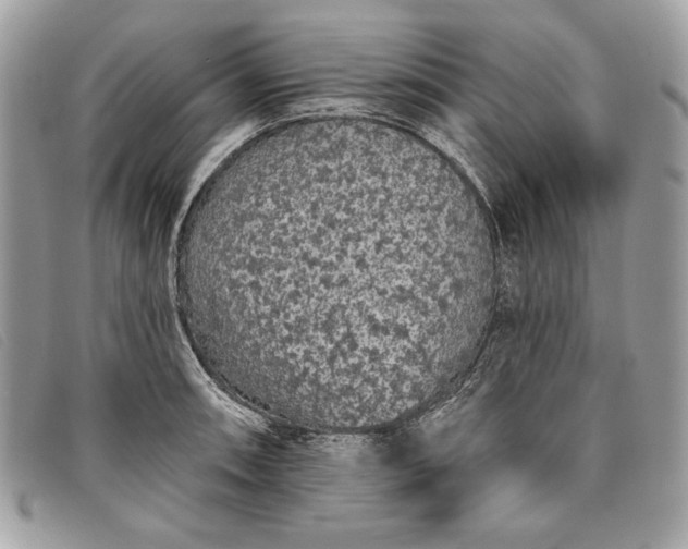 X0000098011090200804111227