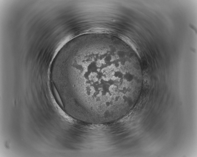 X0000098011091200804111227