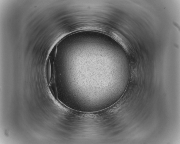 X0000098011092200804111227