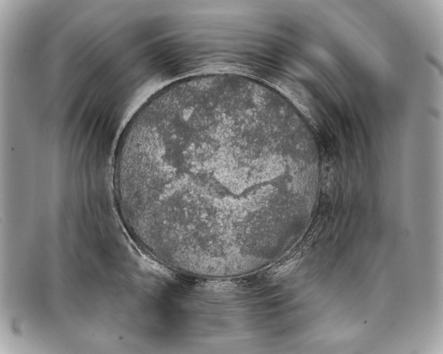 X0000098011094200804111226