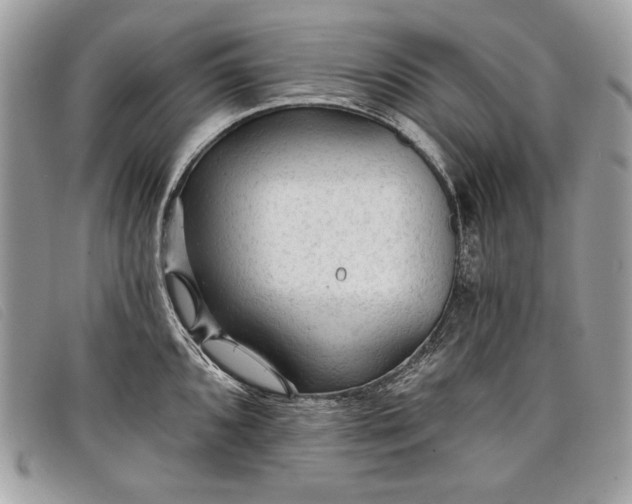 X0000098011096200804111226