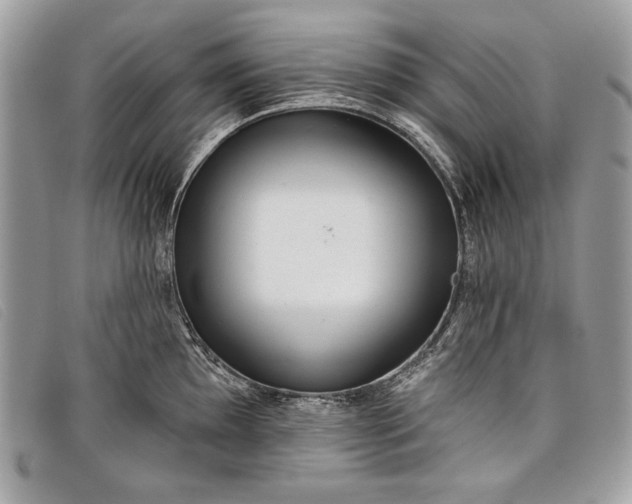 X0000098011097200804111226