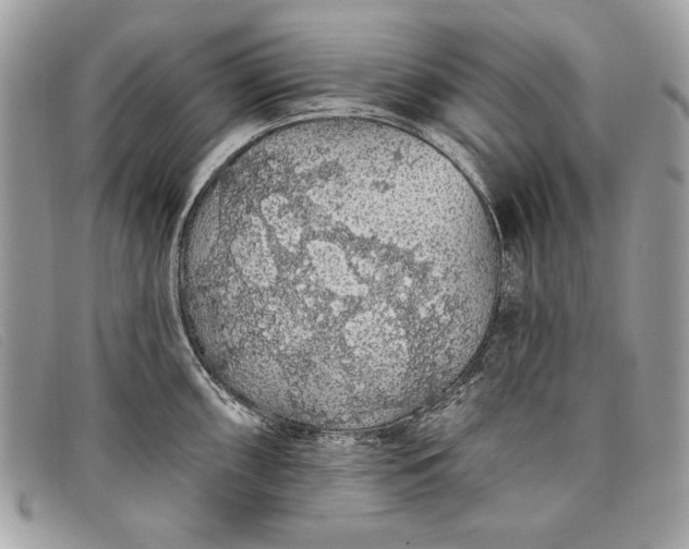 X0000098011098200804111226