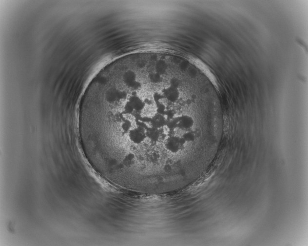 X0000098011099200804111226