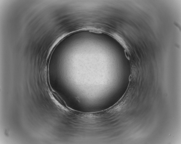 X0000098011100200804111226