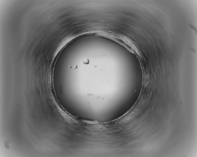 X0000098011101200804111226