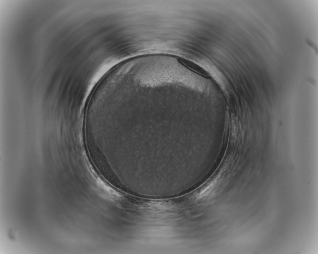 X0000098011102200804111226