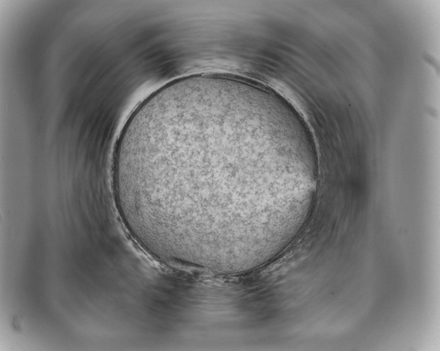 X0000098011104200804111226