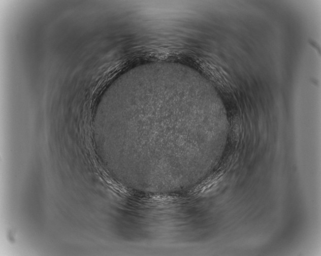 X0000098011105200804111226