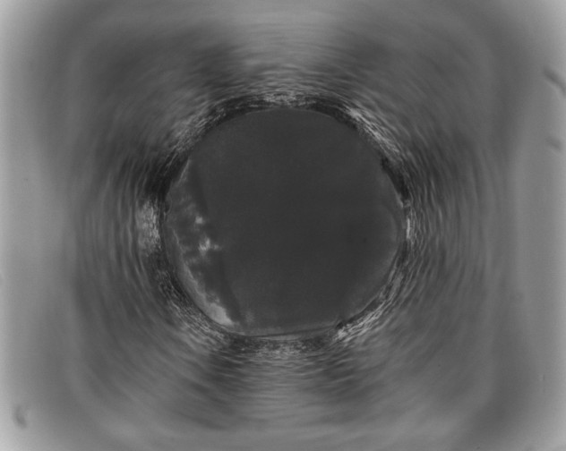 X0000098011106200804111226