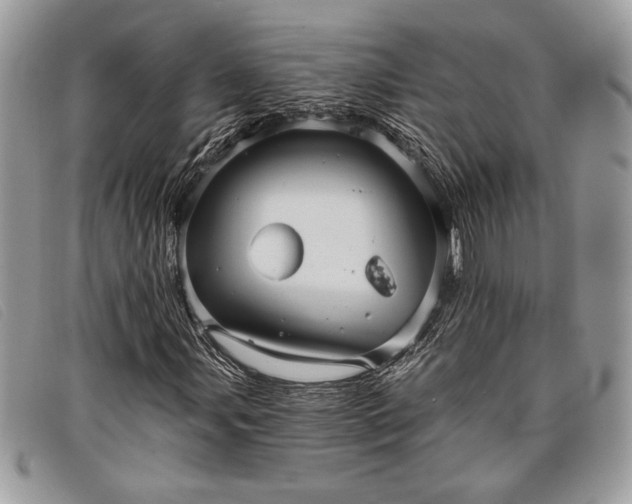 X0000098011107200804111226