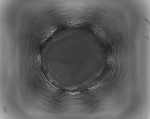 X0000098011108200804111226