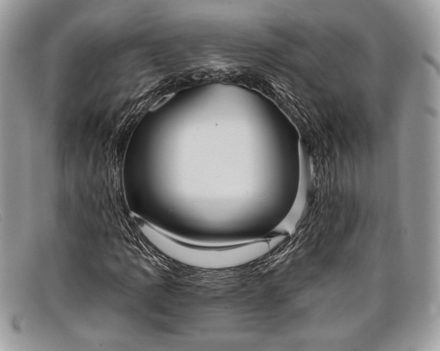 X0000098011109200804111226