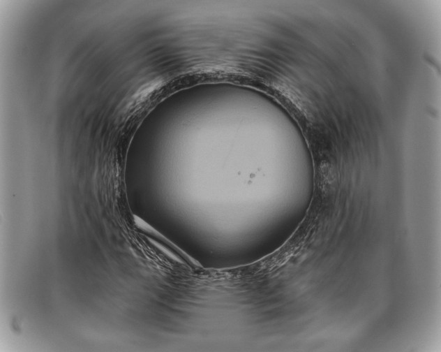 X0000098011111200804111226