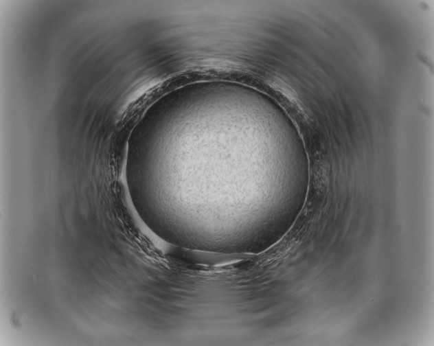 X0000098011112200804111226