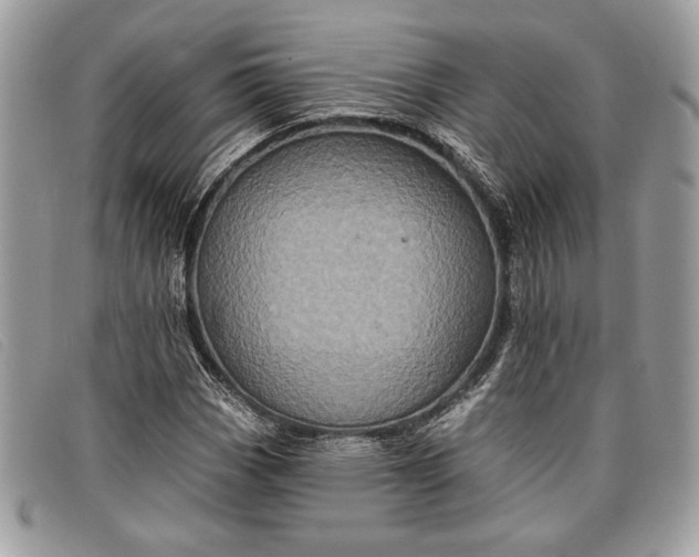 X0000098011113200804111226