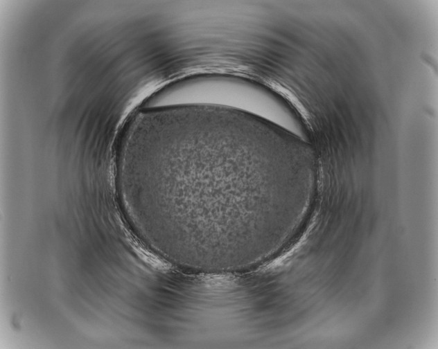 X0000098011114200804111226