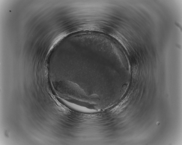 X0000098011115200804111226