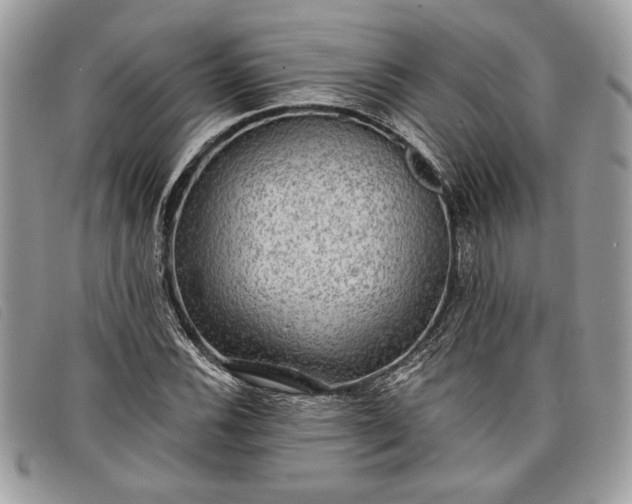 X0000098011116200804111226