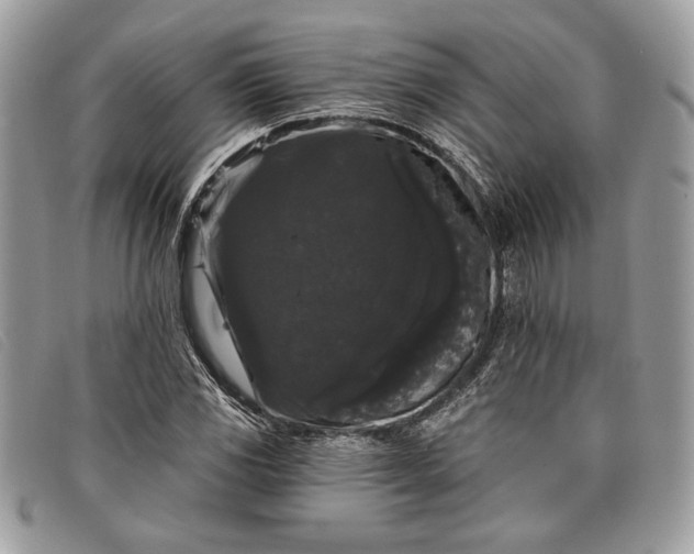 X0000098011117200804111226