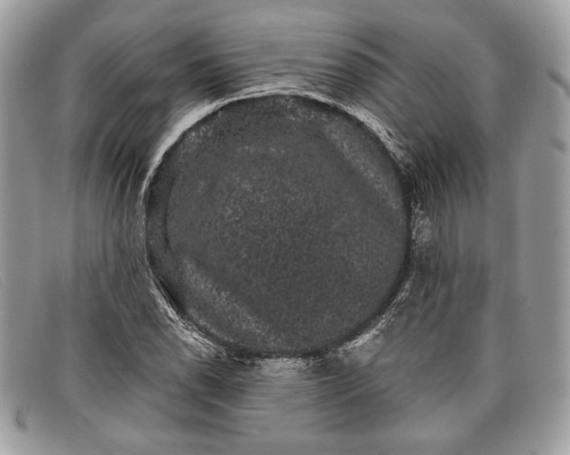 X0000098011118200804111226