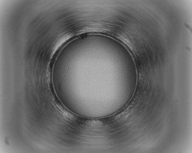 X0000098011119200804111226