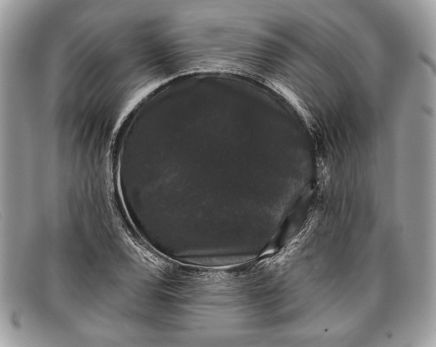 X0000098011120200804111226