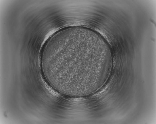 X0000098011122200804111226