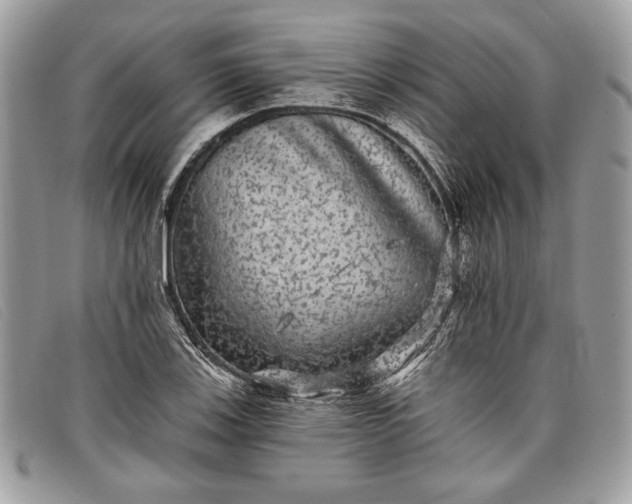 X0000098011123200804111226