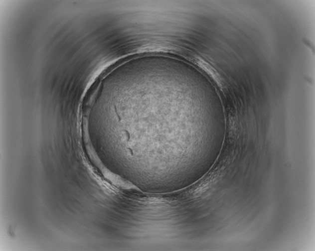 X0000098011124200804111226