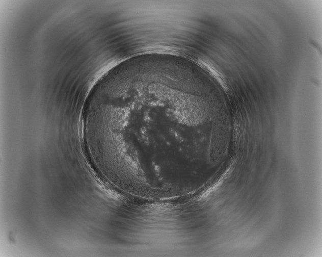 X0000098011125200804111226