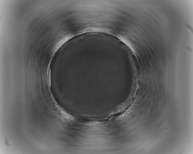 X0000098011127200804111226