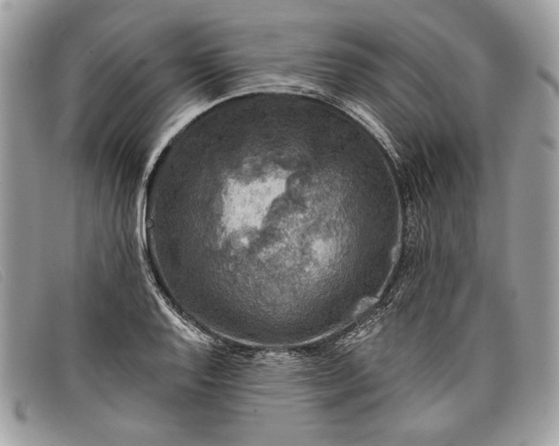 X0000098011128200804111226