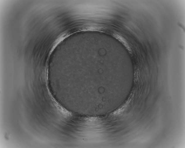 X0000098011130200804111226