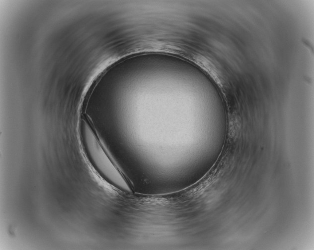 X0000098011136200804111226