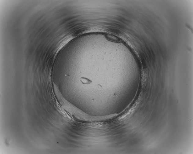 X0000098011137200804111226