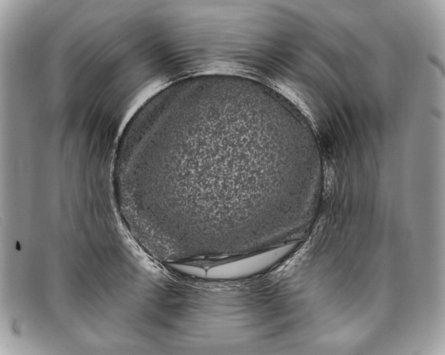 X0000098011138200804111226