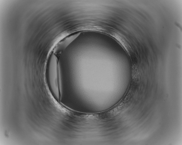 X0000098011139200804111226