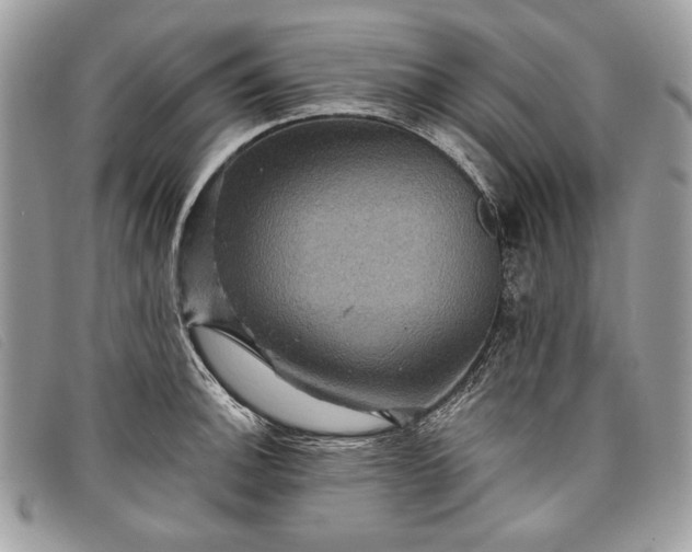 X0000098011140200804111226