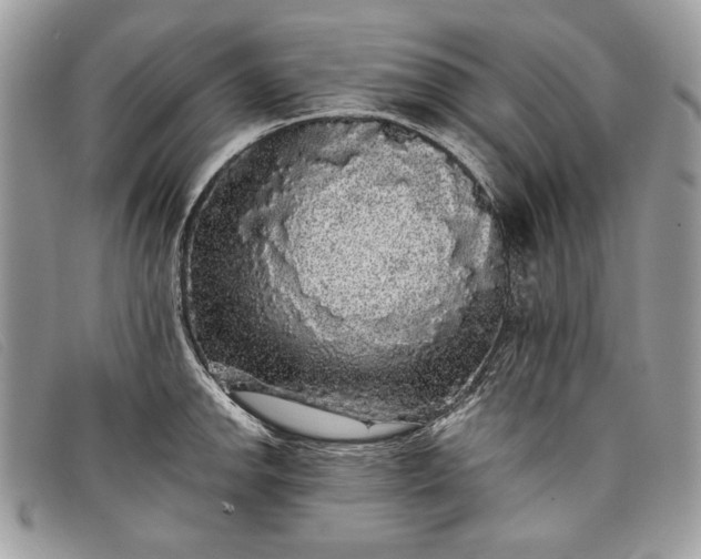 X0000098011142200804111226