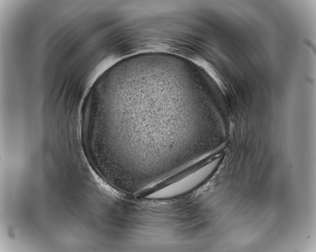 X0000098011143200804111226