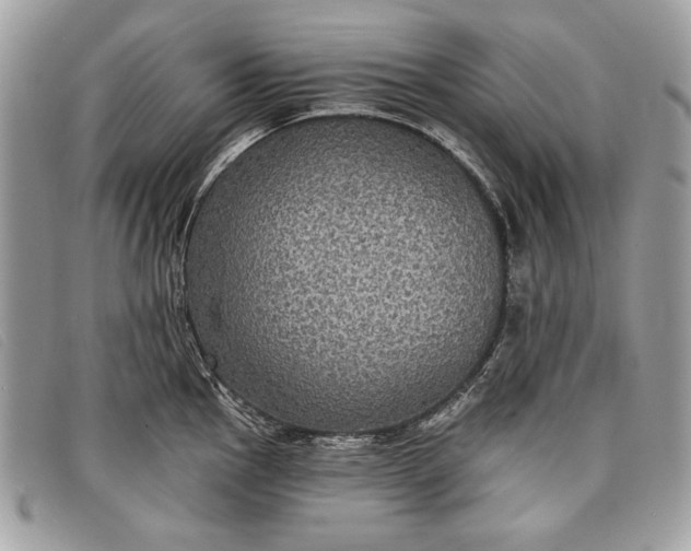 X0000098011145200804111226