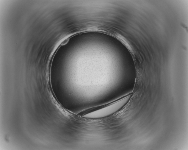 X0000098011148200804111226