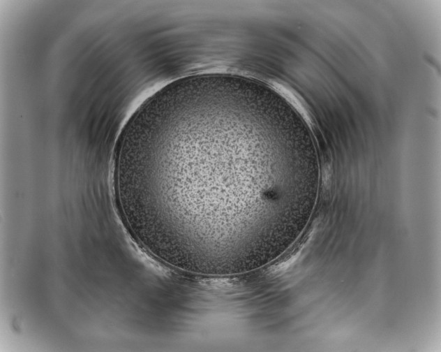 X0000098011149200804111226