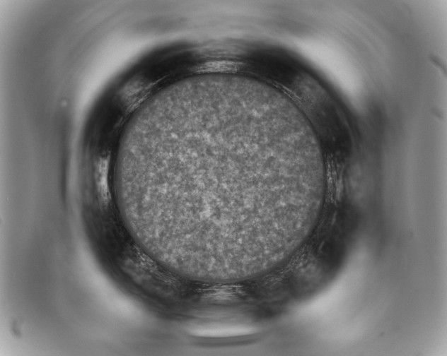 X0000098011150200804111226