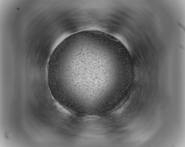 X0000098011151200804111226