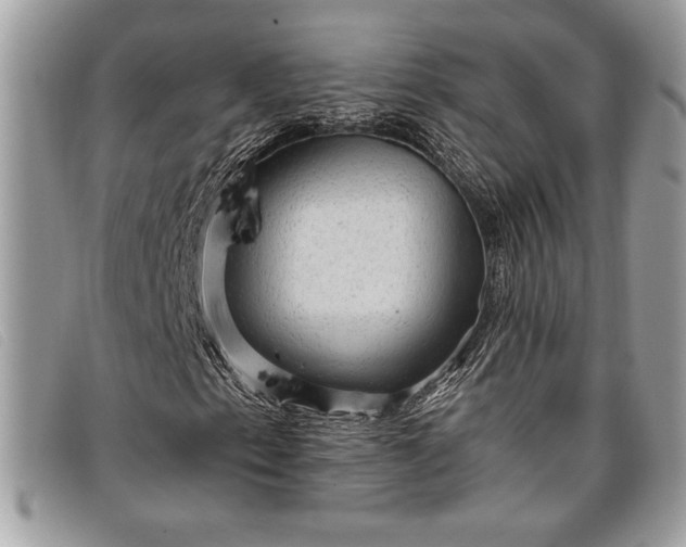 X0000098011153200804111226