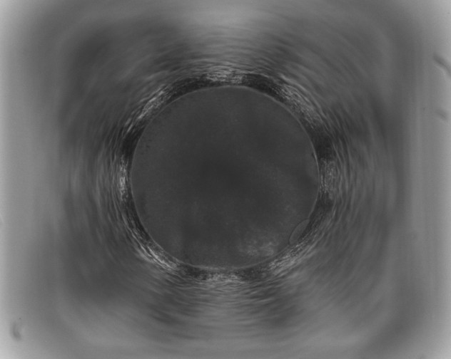 X0000098011154200804111226