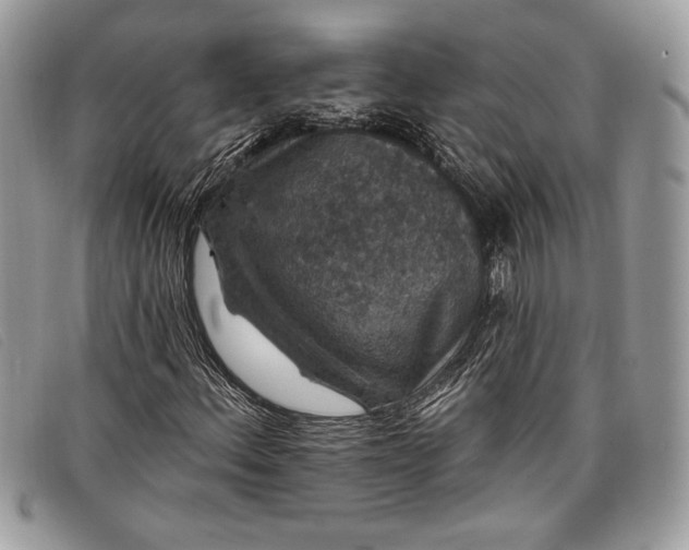 X0000098011156200804111226