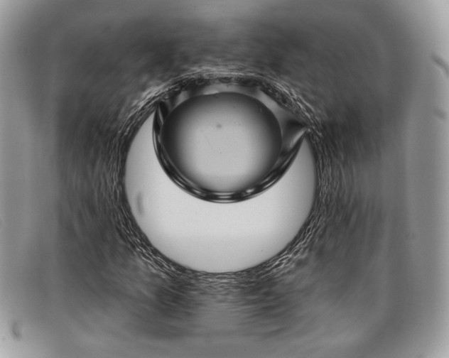 X0000098011157200804111226